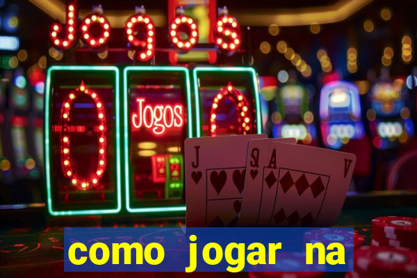 como jogar na lotinha do jogo do bicho